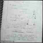 The Snake Project - Blog, She Wrote - Reprober Related Deep Discussion About Snake Failing.