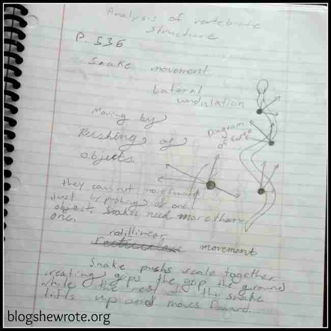 The Snake Project - Blog, She Wrote