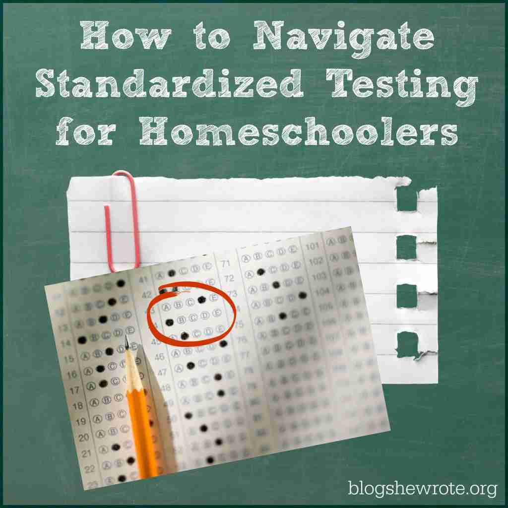 How to Navigate Standardized Testing for Homeschoolers - Blog, She Wrote