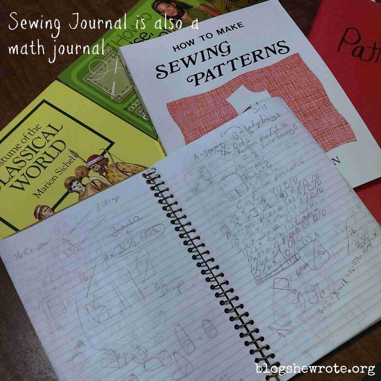Math Journaling in Homeschool Math - Blog, She Wrote