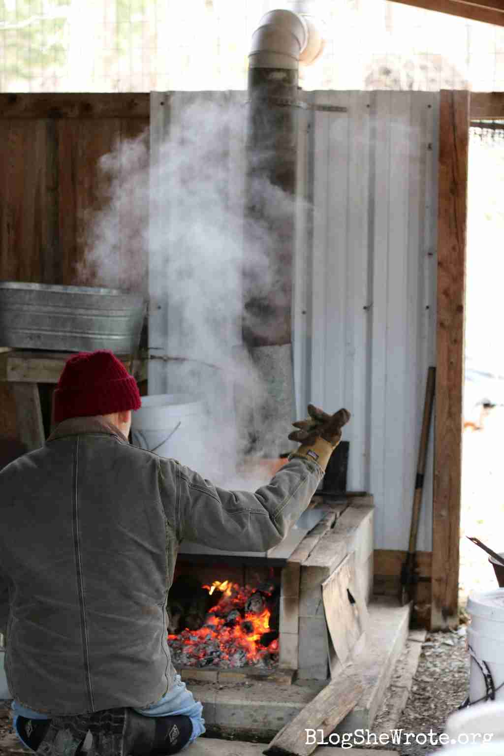 How to Make Your Own Maple Syrup with an Evaporator Blog, She Wrote