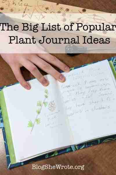 The Big List of Popular Plant Journal Ideas- open plant journal with a tamarack pine drawn in it