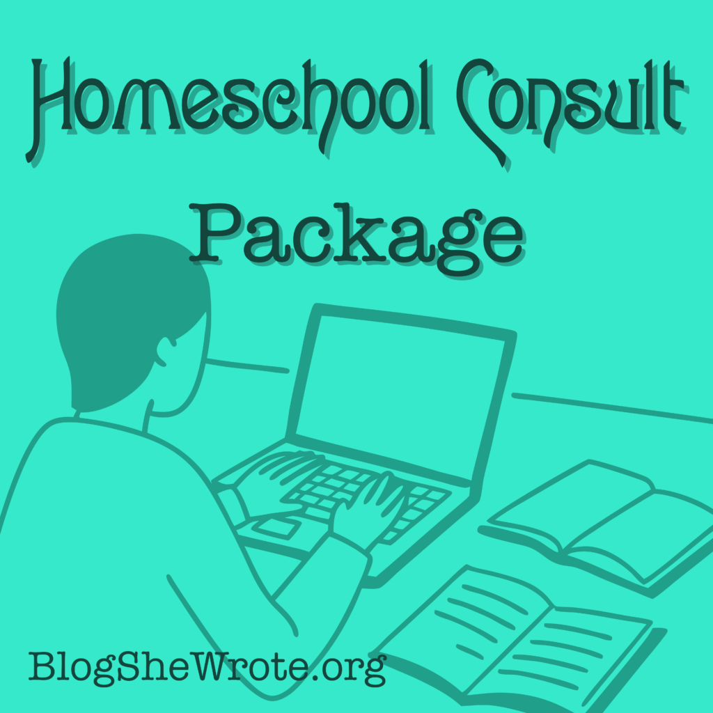 a cartoon figure at a laptop with books on the desk and a title that reads Homeschool Consult Package