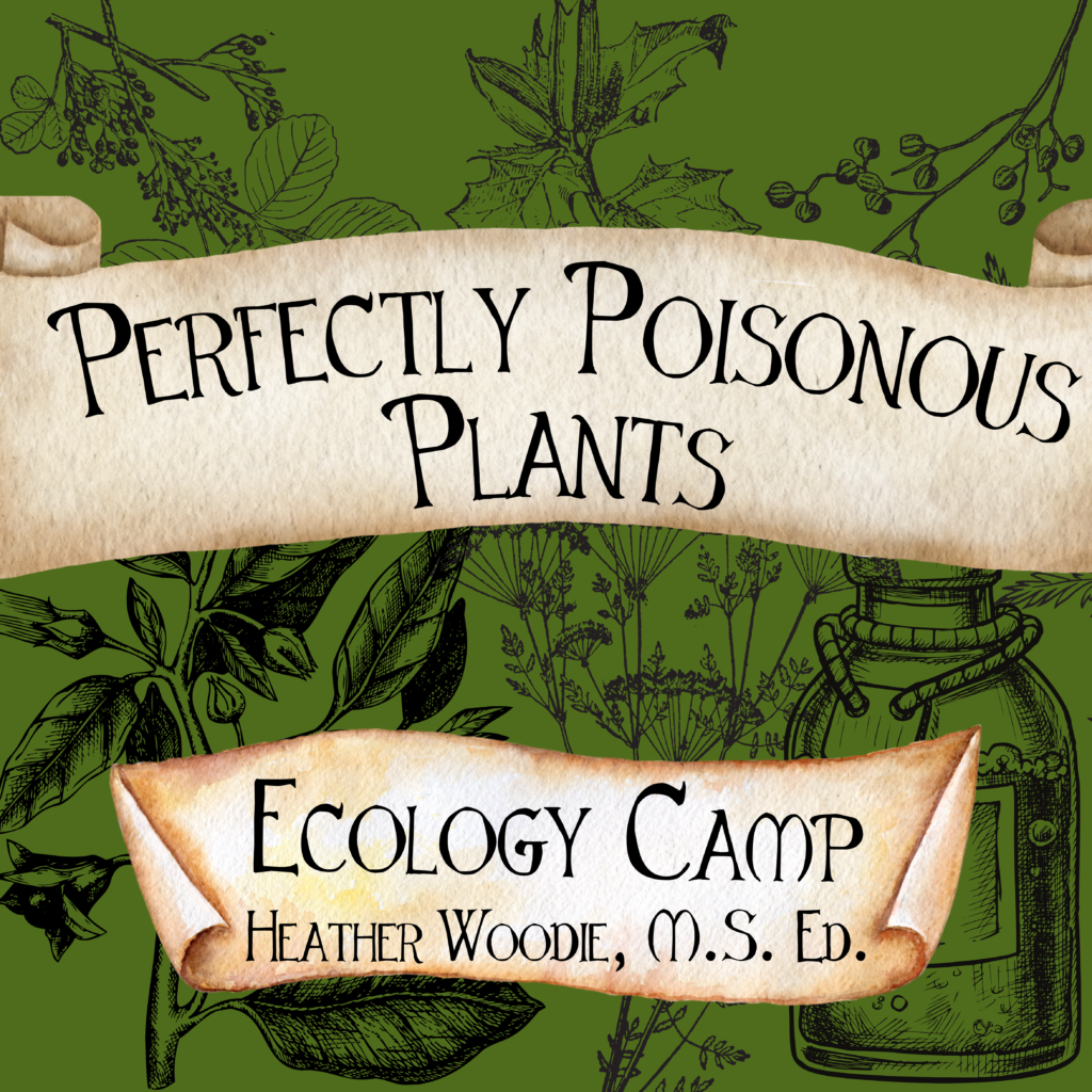 green background with botanicals and two banners on top. One says Perfectly Poisonous Plants and the next one says Ecology Camp with the name Heather Woodie, M.D. Ed underneath