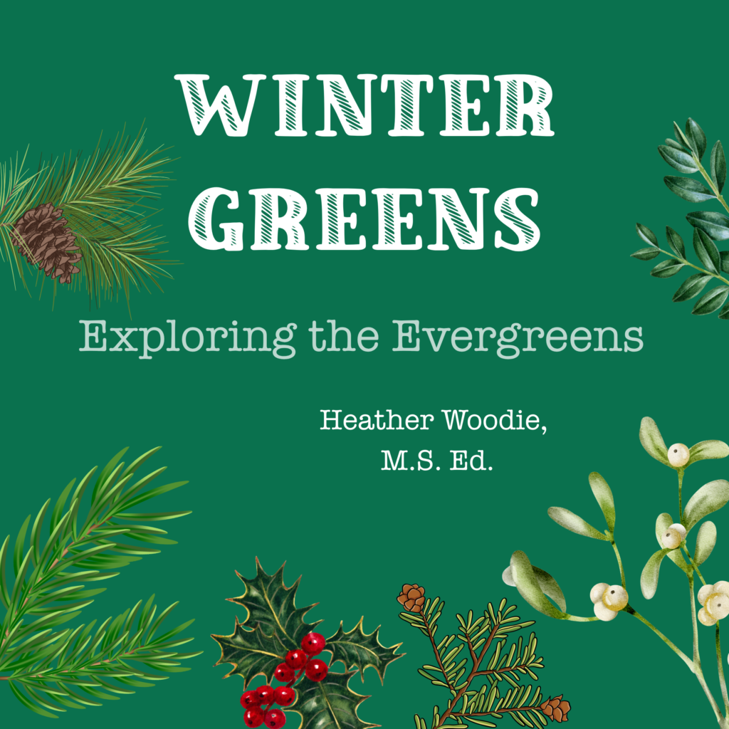 dark green background with the words, Winter Greens: Exploring the Evergreens with Heather Woodie, M.S. Ed. and winter botanical color graphics